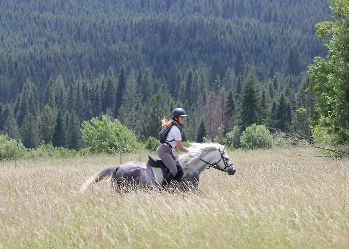 Domek W Dolinie Koscieliskiej